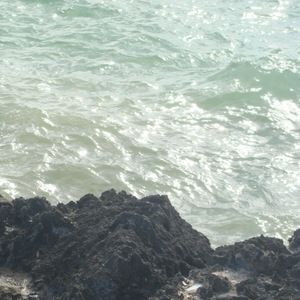 Meet your Posher, Octavio